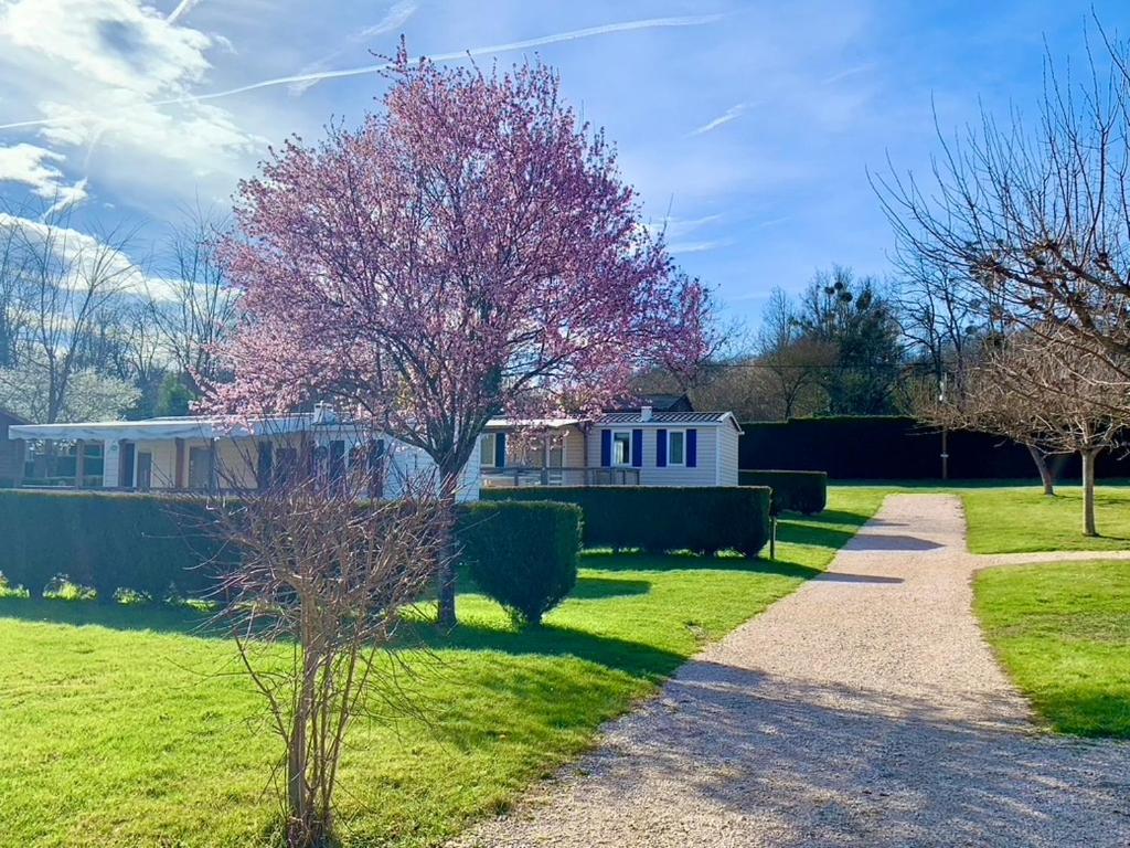 Camping Familial Paisible Avec Piscine, Mobil Home , Chalet, Studio & Emplacement Nue Casties-Labrande エクステリア 写真
